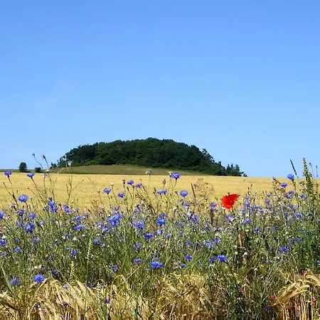 Lejlighed Mit Traumhaftem Meerblick - Haus Am 01 *